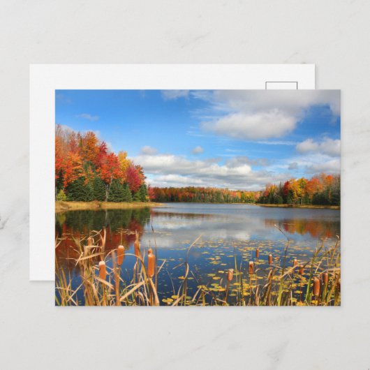 Water | Mabel Lake Canada Briefkaart (Voorkant / Achterkant)