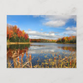 Water | Mabel Lake Canada Briefkaart (Voorkant)