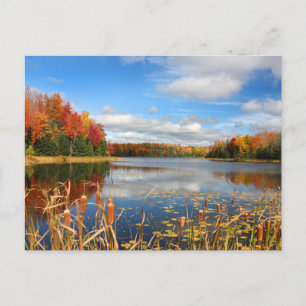 Water   Mabel Lake Canada Briefkaart