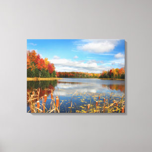 Water Mabel Lake Canada Canvas Afdruk