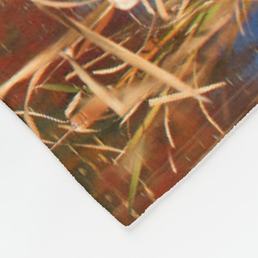 Water | Mabel Lake Canada Fleece Deken (Hoek)