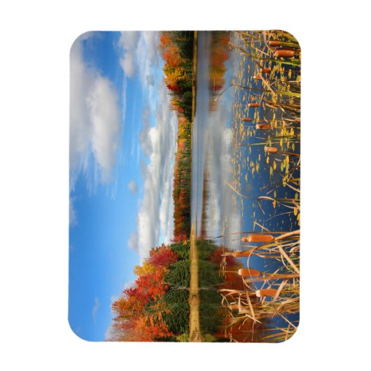 Water | Mabel Lake Canada Magneet (Verticaal)