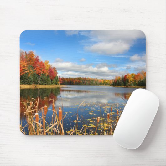 Water | Mabel Lake Canada Muismat (Met muis)