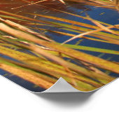 Water | Mabel Lake Canada Poster (Hoek)