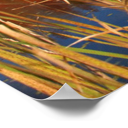 Water | Mabel Lake Canada Poster (Hoek)