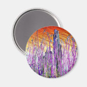 WATER MAGNEET (Voorkant / Achterkant)