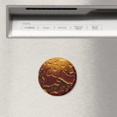 Water Magneet (Insitu (Vaatwasser))