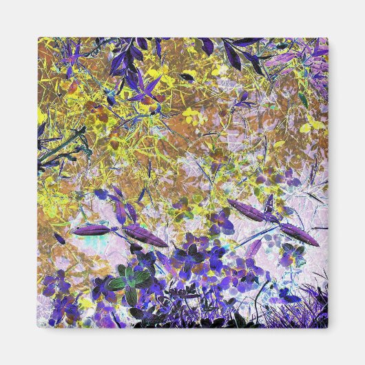 WATER MAGNEET (Voorkant)