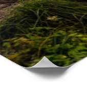 Water | Meer van Hintersee Berchtesgaden Duitsland Poster (Hoek)