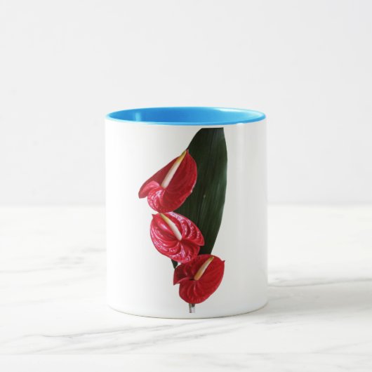 Water mokken (Midden)