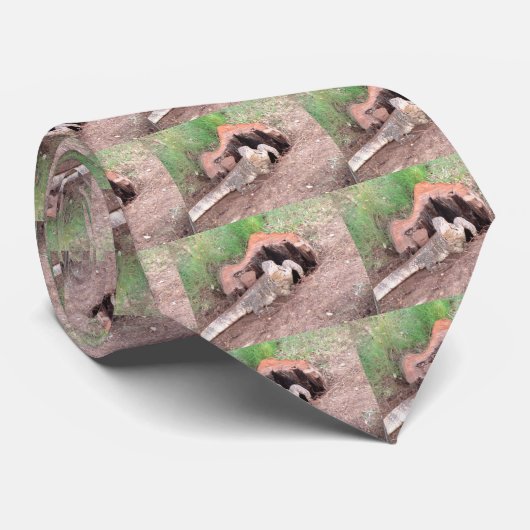 Water Monitor hagedis Stropdas (Opgerold)