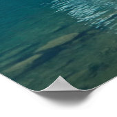 Water | Moraine Lake, Canada Poster (Hoek)
