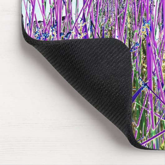 WATER MUISMAT (Hoek)