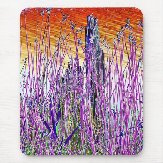 WATER MUISMAT (Voorkant)