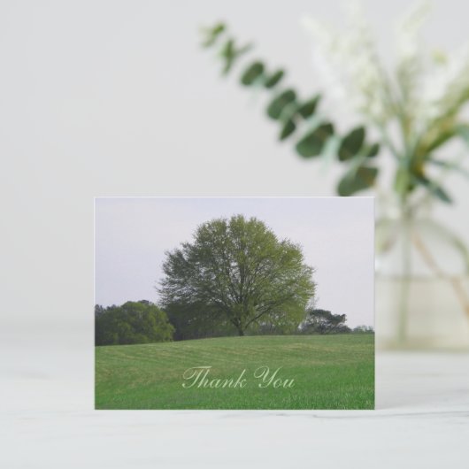 Water Oak Tree Dank u Briefkaart (Staand voorkant)