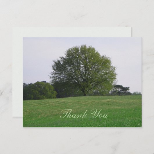 Water Oak Tree Dank u Briefkaart (Voorkant / Achterkant)