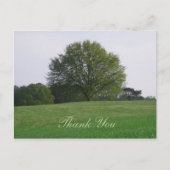 Water Oak Tree Dank u Briefkaart (Voorkant)