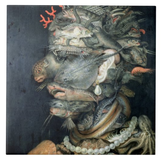 Water, olie op doek, Arcimboldo, Giuseppe Tegeltje (Voorkant)