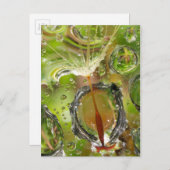 Water op dandelionzaad, CA Briefkaart (Voorkant / Achterkant)