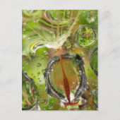 Water op dandelionzaad, CA Briefkaart (Voorkant)