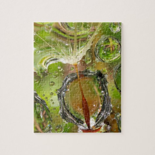 Water op dandelionzaad, CA Legpuzzel (Verticaal)