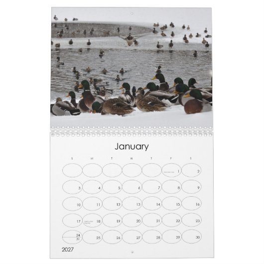 Water op de hersenen 2 kalender (Jan 2027)