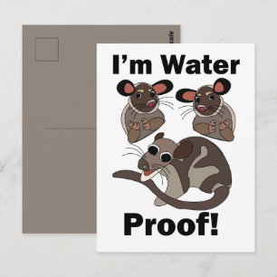 Water Opossum Ik Ben Waterdicht Grappig Briefkaart