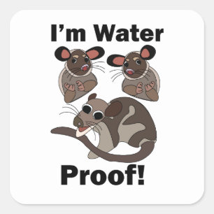 Water Opossum Ik Ben Waterdicht Grappig  Vierkante Sticker
