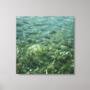 Water over Zee Grass I Caribbean Natuur Canvas Afdruk