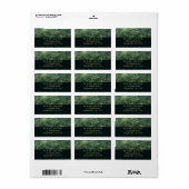 Water over Zee Grass I Caribbean Natuur Etiket (Full Sheet)