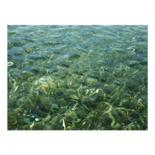 Water over Zee Grass I Caribbean Natuur Foto Afdruk
