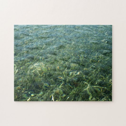 Water over Zee Grass I Caribbean Natuur Legpuzzel (Horizontaal)