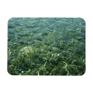 Water over Zee Grass I Caribbean Natuur Magneet