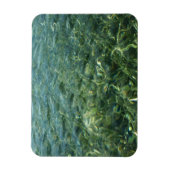 Water over Zee Grass I Caribbean Natuur Magneet (Verticaal)