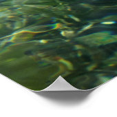 Water over Zee Grass I Caribbean Natuur Poster (Hoek)