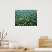 Water over Zee Grass I Caribbean Natuur Poster (Keuken)