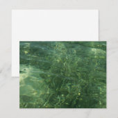 Water over Zee Grass II (Blauw en groen) Foto (Voorkant / Achterkant)