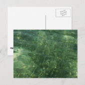 Water over Zee Grass II (Blauw en groen) Foto Briefkaart (Voorkant / Achterkant)
