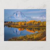 Water | Oxbow Bend Jackson Wyoming Briefkaart (Voorkant)