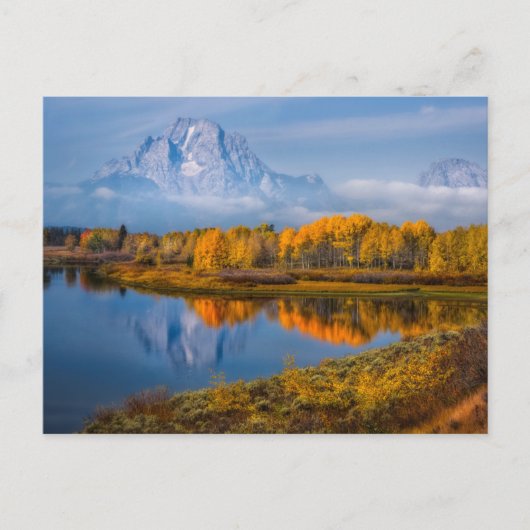 Water | Oxbow Bend Jackson Wyoming Briefkaart (Voorkant)
