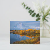 Water | Oxbow Bend Jackson Wyoming Briefkaart (Staand voorkant)