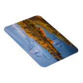 Water | Oxbow Bend Jackson Wyoming Magneet (Rechterzijde)