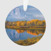 Water | Oxbow Bend Jackson Wyoming Ornament (voorkant)