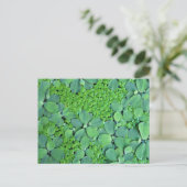 Water plant briefkaart (Staand voorkant)
