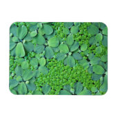 Water plant magneet (Horizontaal)