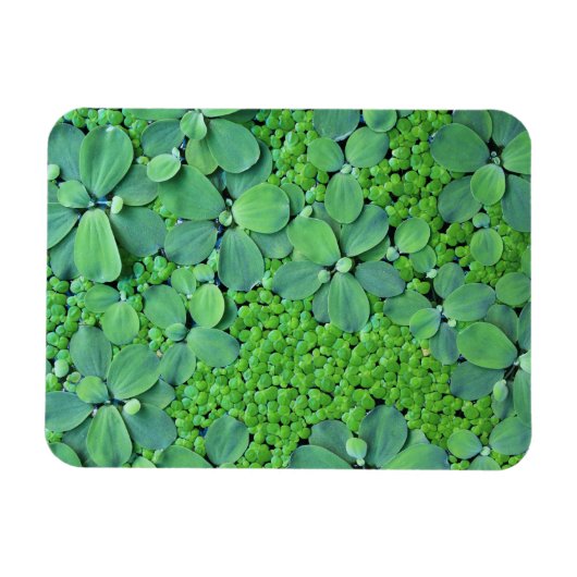 Water plant magneet (Horizontaal)