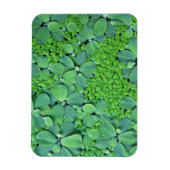 Water plant magneet (Verticaal)