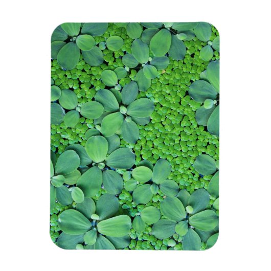 Water plant magneet (Verticaal)