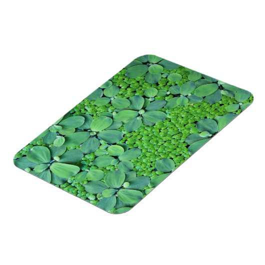 Water plant magneet (Linkerzijde)