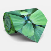 Water plant stropdas (Opgerold)